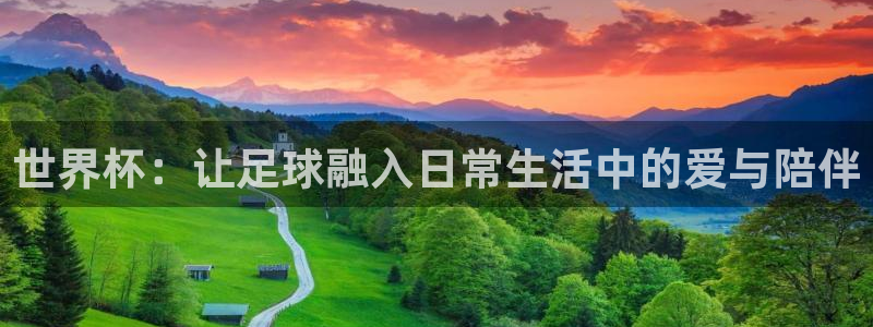 世界杯决赛预测：世界杯：让足球融入日常生活中的爱与陪伴