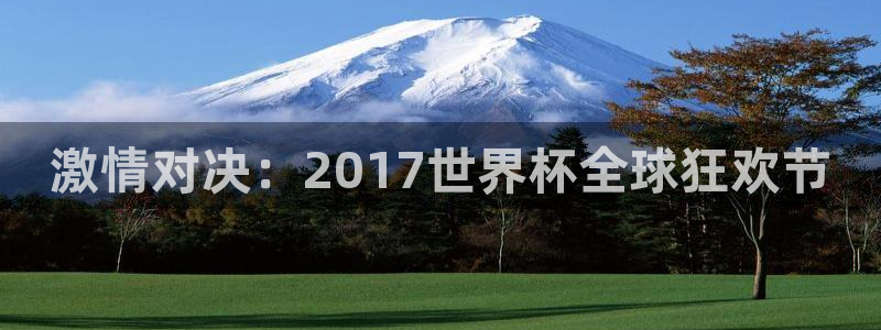 世界杯 中国：激情对决：2017世界杯全球狂欢节