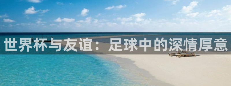 世界杯亚洲区预选赛：世界杯与友谊：足球中的深情厚意
