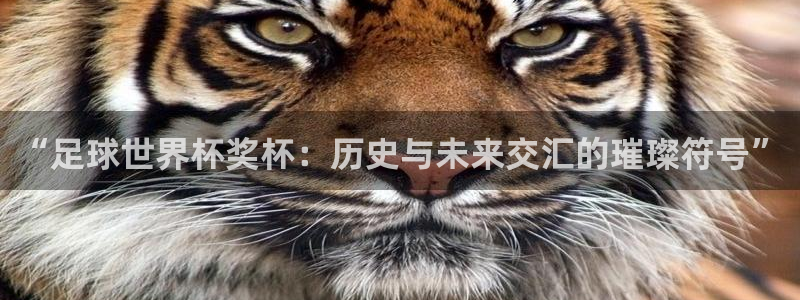 世界杯比赛直播：“足球世界杯奖杯：历史与未来交汇的璀璨符号”