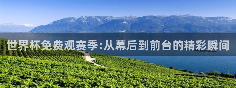 国际足联世界杯：世界杯免费观赛季:从幕后到前台的精彩瞬间