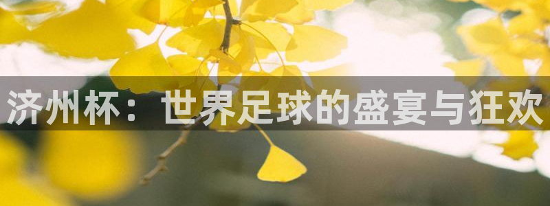 世界杯赛程表2026：济州杯：世界足球的盛宴与狂欢