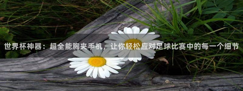 世界杯球队：世界杯神器：超全能胸夹手机，让你轻松应对足球比赛中的每一个细节
