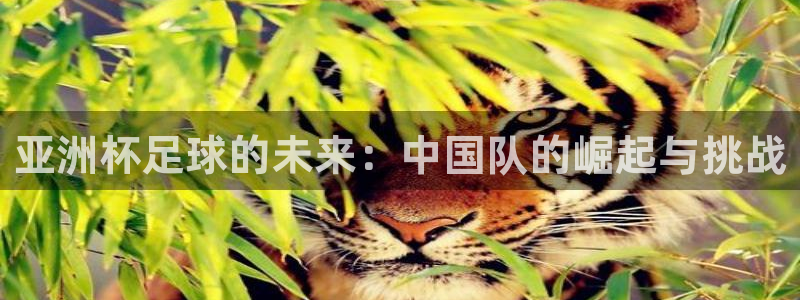 世界杯在线直播入口：亚洲杯足球的未来：中国队的崛起与挑战