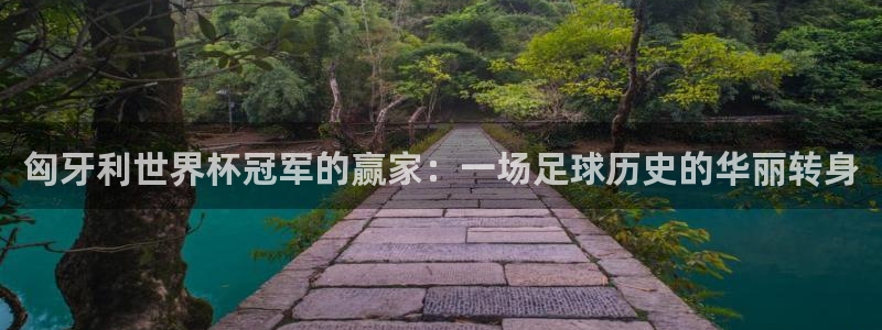 世界杯16强赛程表：匈牙利世界杯冠军的赢家：一场足球历史的华丽转身