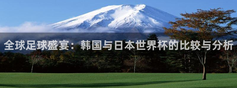 预选赛世界杯：全球足球盛宴：韩国与日本世界杯的比较与分析