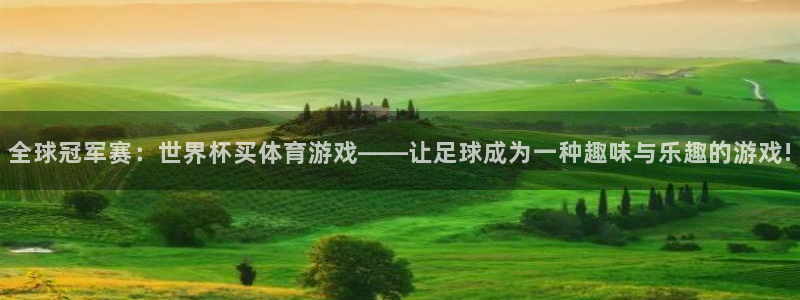 2006世界杯：全球冠军赛：世界杯买体育游戏——让足球成为一种趣味与乐趣的游戏!