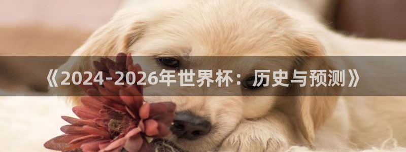 2026年世界杯：《2024-2026年世界杯：历史与预测》