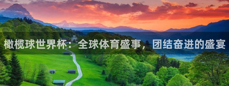 2026世亚预赛赛程表：橄榄球世界杯：全球体育盛事，团结奋进的盛宴