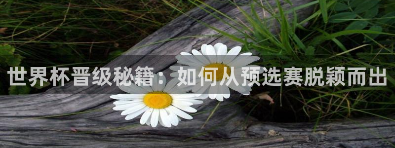 2026世界杯直播：世界杯晋级秘籍：如何从预选赛脱颖而出