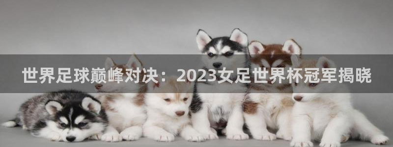 世界杯亚洲区预选赛积分榜：世界足球巅峰对决：2023女足世界杯冠军揭晓