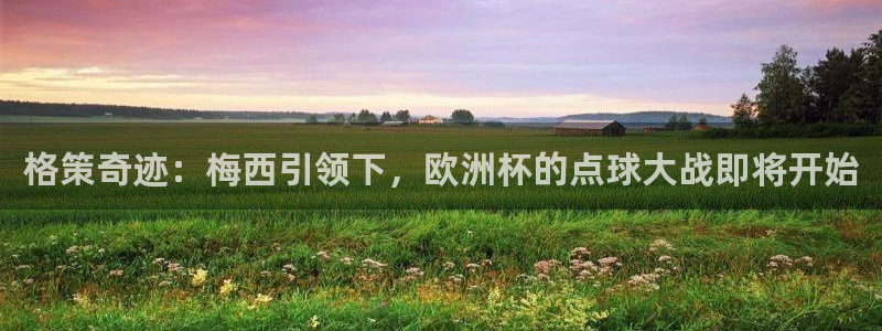 世界杯足球赛2026：格策奇迹：梅西引领下，欧洲杯的点球大战即将开始