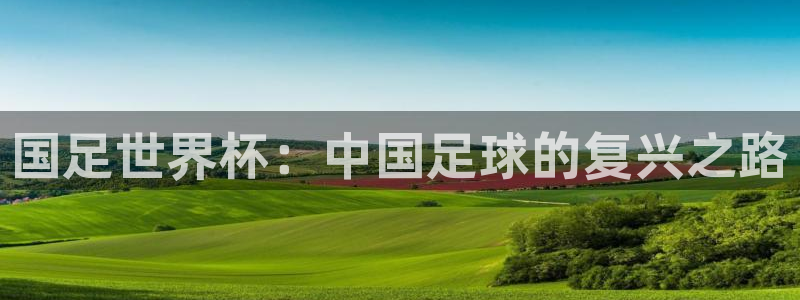 欧洲世界杯预选赛赛程：国足世界杯：中国足球的复兴之路