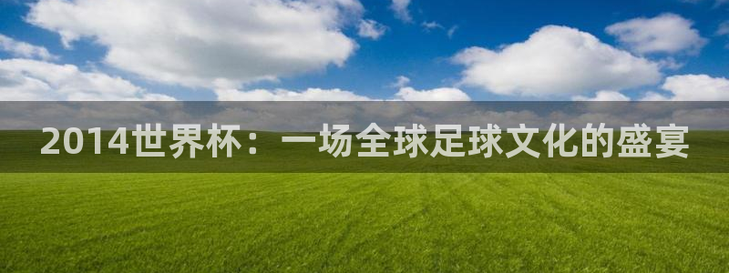 世界杯直播免费观看：2014世界杯：一场全球足球文化的盛宴